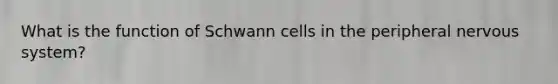 What is the function of Schwann cells in the peripheral nervous system?