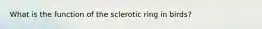 What is the function of the sclerotic ring in birds?