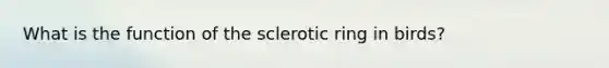 What is the function of the sclerotic ring in birds?