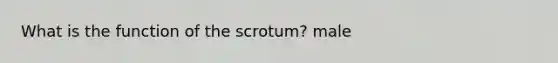 What is the function of the scrotum? male