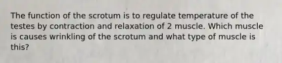 The function of the scrotum is to regulate temperature of the testes by contraction and relaxation of 2 muscle. Which muscle is causes wrinkling of the scrotum and what type of muscle is this?