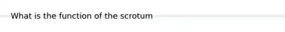 What is the function of the scrotum