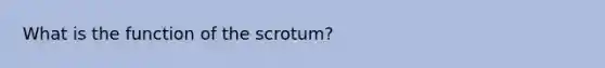 What is the function of the scrotum?