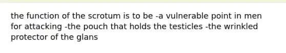 the function of the scrotum is to be -a vulnerable point in men for attacking -the pouch that holds the testicles -the wrinkled protector of the glans