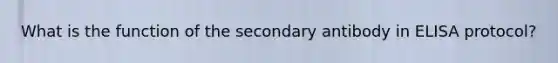 What is the function of the secondary antibody in ELISA protocol?