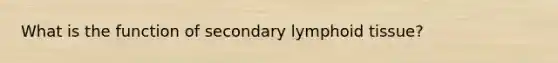 What is the function of secondary lymphoid tissue?