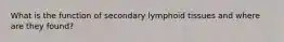 What is the function of secondary lymphoid tissues and where are they found?