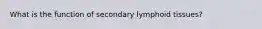 What is the function of secondary lymphoid tissues?