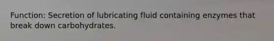 Function: Secretion of lubricating fluid containing enzymes that break down carbohydrates.