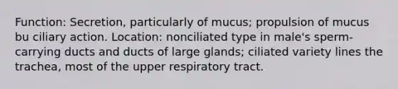 Function: Secretion, particularly of mucus; propulsion of mucus bu ciliary action. Location: nonciliated type in male's sperm-carrying ducts and ducts of large glands; ciliated variety lines the trachea, most of the upper respiratory tract.