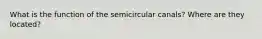 What is the function of the semicircular canals? Where are they located?