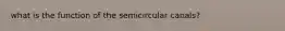 what is the function of the semicircular canals?