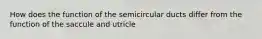 How does the function of the semicircular ducts differ from the function of the saccule and utricle