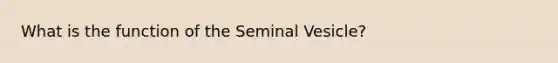 What is the function of the Seminal Vesicle?