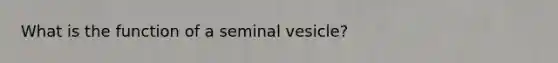 What is the function of a seminal vesicle?