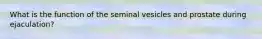What is the function of the seminal vesicles and prostate during ejaculation?