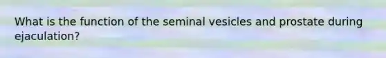 What is the function of the seminal vesicles and prostate during ejaculation?