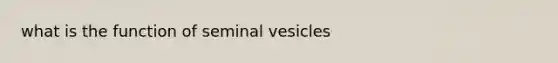 what is the function of seminal vesicles