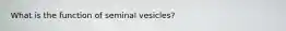 What is the function of seminal vesicles?