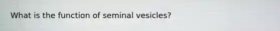 What is the function of seminal vesicles?