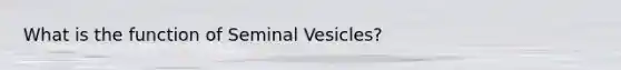 What is the function of Seminal Vesicles?