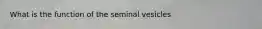 What is the function of the seminal vesicles