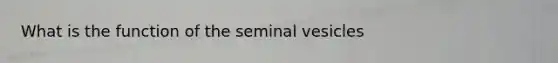 What is the function of the seminal vesicles