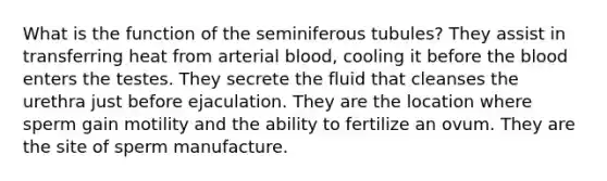 What is the function of the seminiferous tubules? They assist in transferring heat from arterial blood, cooling it before <a href='https://www.questionai.com/knowledge/k7oXMfj7lk-the-blood' class='anchor-knowledge'>the blood</a> enters the testes. They secrete the fluid that cleanses the urethra just before ejaculation. They are the location where sperm gain motility and the ability to fertilize an ovum. They are the site of sperm manufacture.