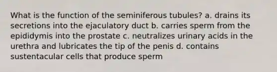 What is the function of the seminiferous tubules? a. drains its secretions into the ejaculatory duct b. carries sperm from the epididymis into the prostate c. neutralizes urinary acids in the urethra and lubricates the tip of the penis d. contains sustentacular cells that produce sperm