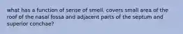 what has a function of sense of smell. covers small area of the roof of the nasal fossa and adjacent parts of the septum and superior conchae?