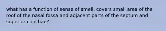 what has a function of sense of smell. covers small area of the roof of the nasal fossa and adjacent parts of the septum and superior conchae?