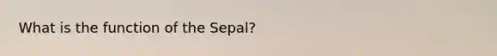 What is the function of the Sepal?