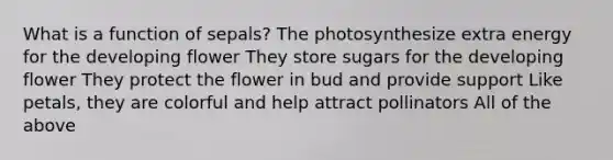 What is a function of sepals? The photosynthesize extra energy for the developing flower They store sugars for the developing flower They protect the flower in bud and provide support Like petals, they are colorful and help attract pollinators All of the above