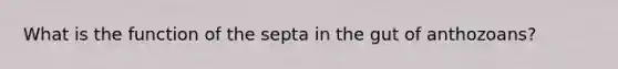 What is the function of the septa in the gut of anthozoans?