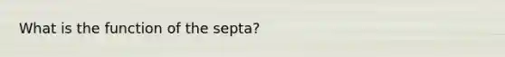 What is the function of the septa?