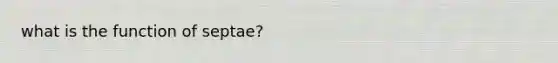 what is the function of septae?