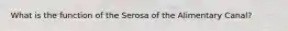 What is the function of the Serosa of the Alimentary Canal?