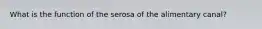 What is the function of the serosa of the alimentary canal?