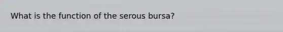 What is the function of the serous bursa?