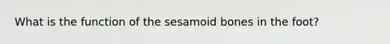 What is the function of the sesamoid bones in the foot?