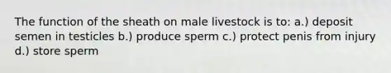 The function of the sheath on male livestock is to: a.) deposit semen in testicles b.) produce sperm c.) protect penis from injury d.) store sperm