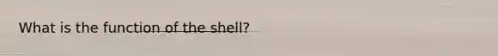 What is the function of the shell?