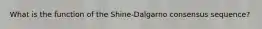 What is the function of the Shine-Dalgarno consensus sequence?