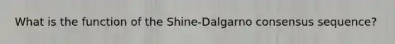 What is the function of the Shine-Dalgarno consensus sequence?