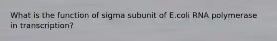 What is the function of sigma subunit of E.coli RNA polymerase in transcription?