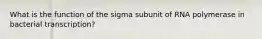 What is the function of the sigma subunit of RNA polymerase in bacterial transcription?