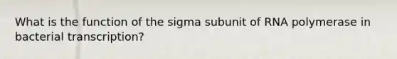 What is the function of the sigma subunit of RNA polymerase in bacterial transcription?