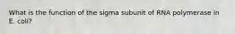 What is the function of the sigma subunit of RNA polymerase in E. coli?