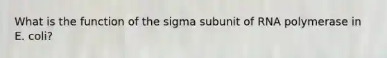 What is the function of the sigma subunit of RNA polymerase in E. coli?