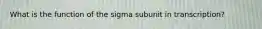 What is the function of the sigma subunit in transcription?